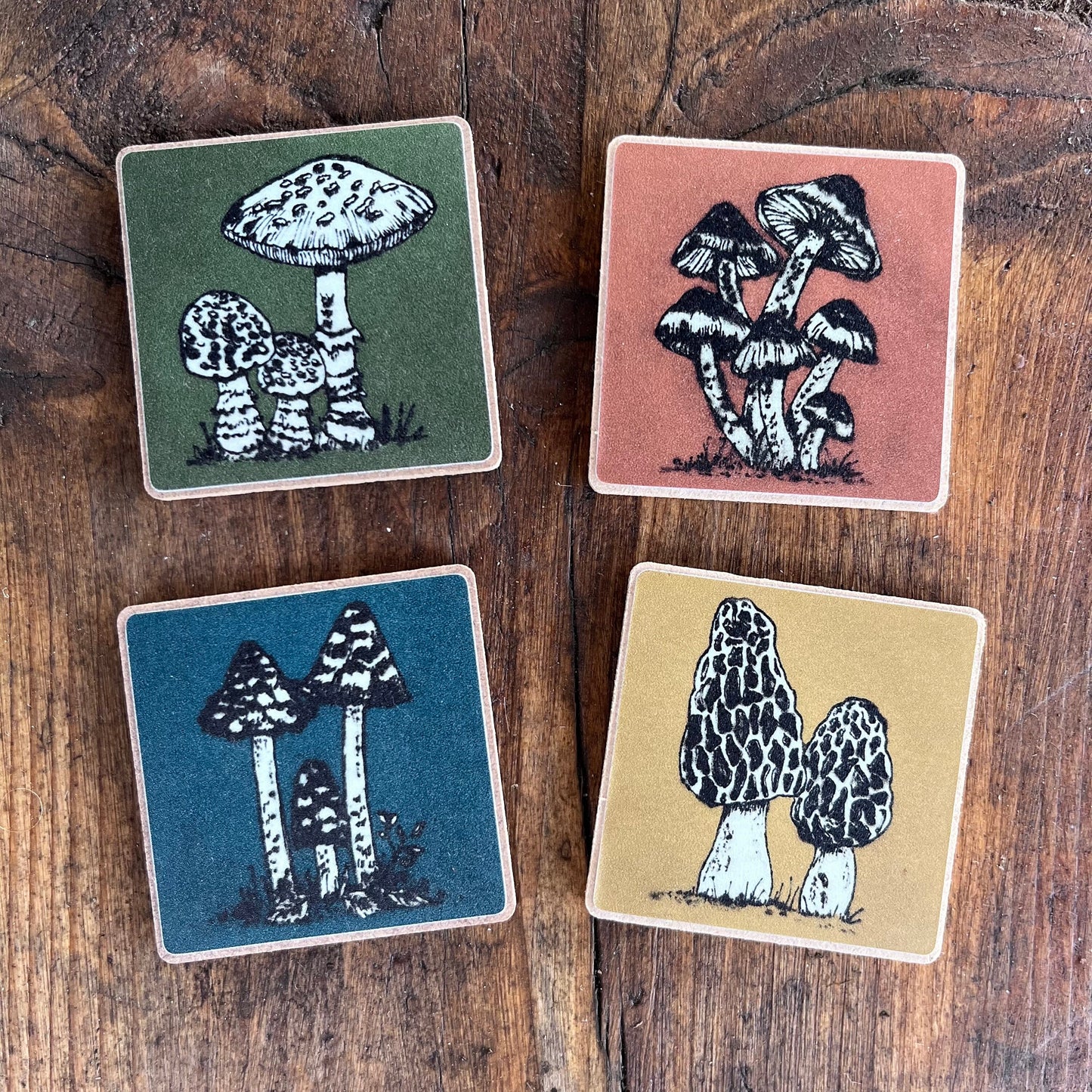 Mushroom Collection