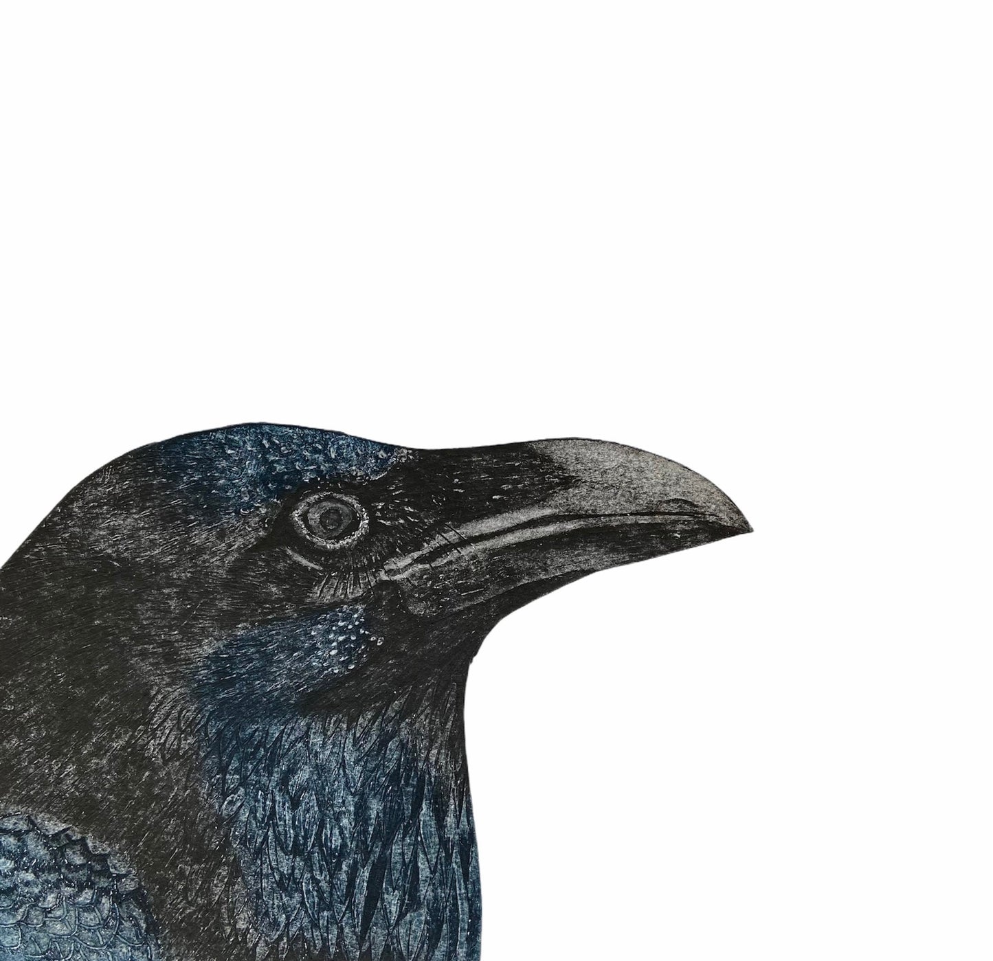 Raven Greetings Card