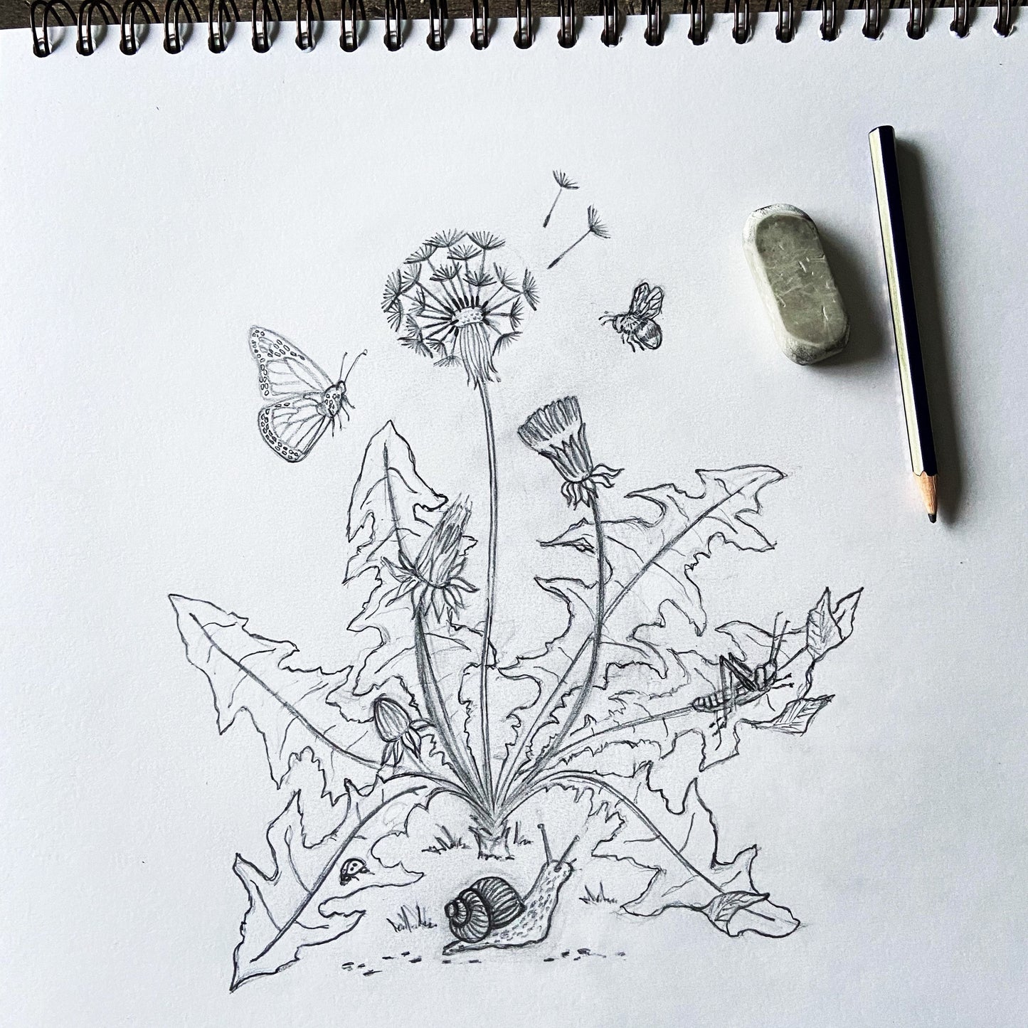 Original Handprinted Linocut | Lino Print | Fine Art | Dandelion | Lion’s Tooth