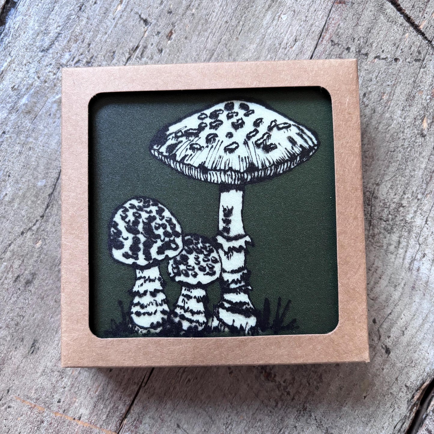 Mushroom Collection Coasters