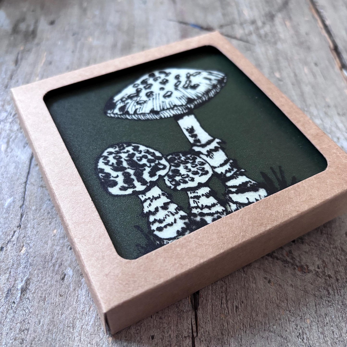 Mushroom Collection Coasters