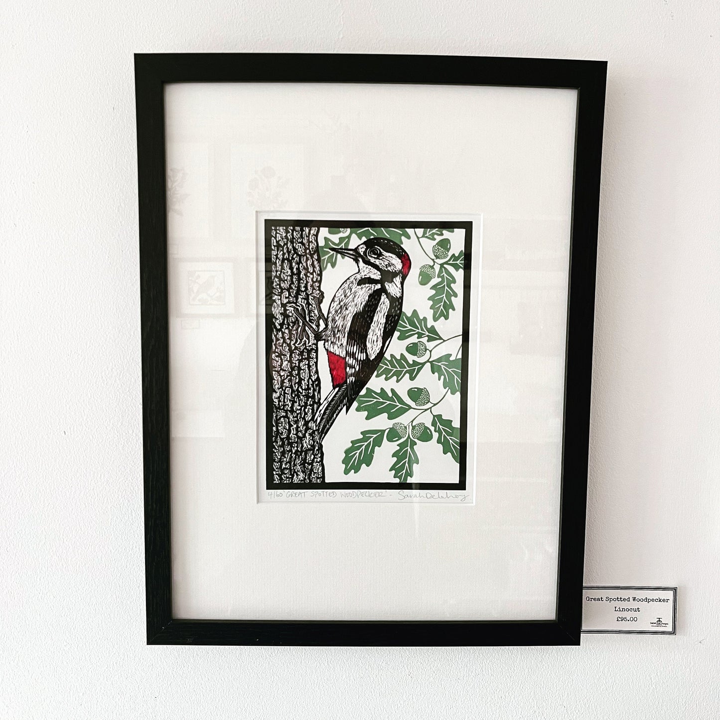 Great Spotted Woodpecker