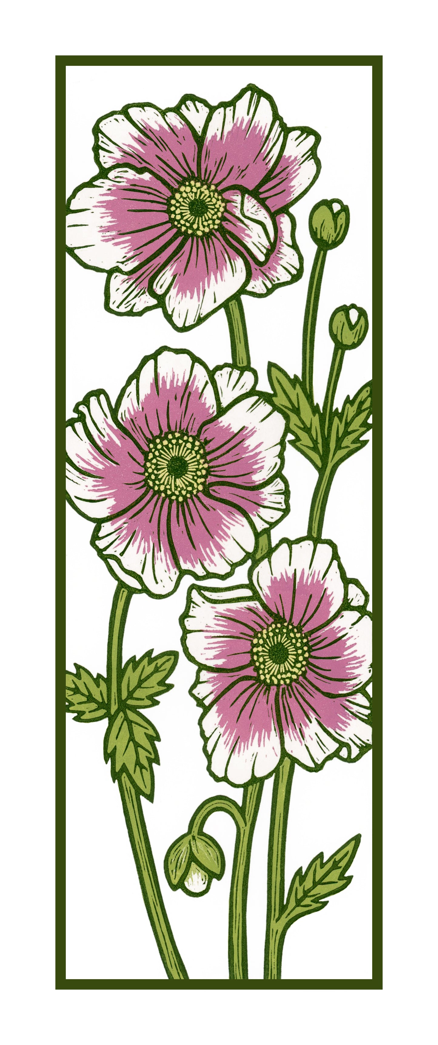 Japanese Anenome
