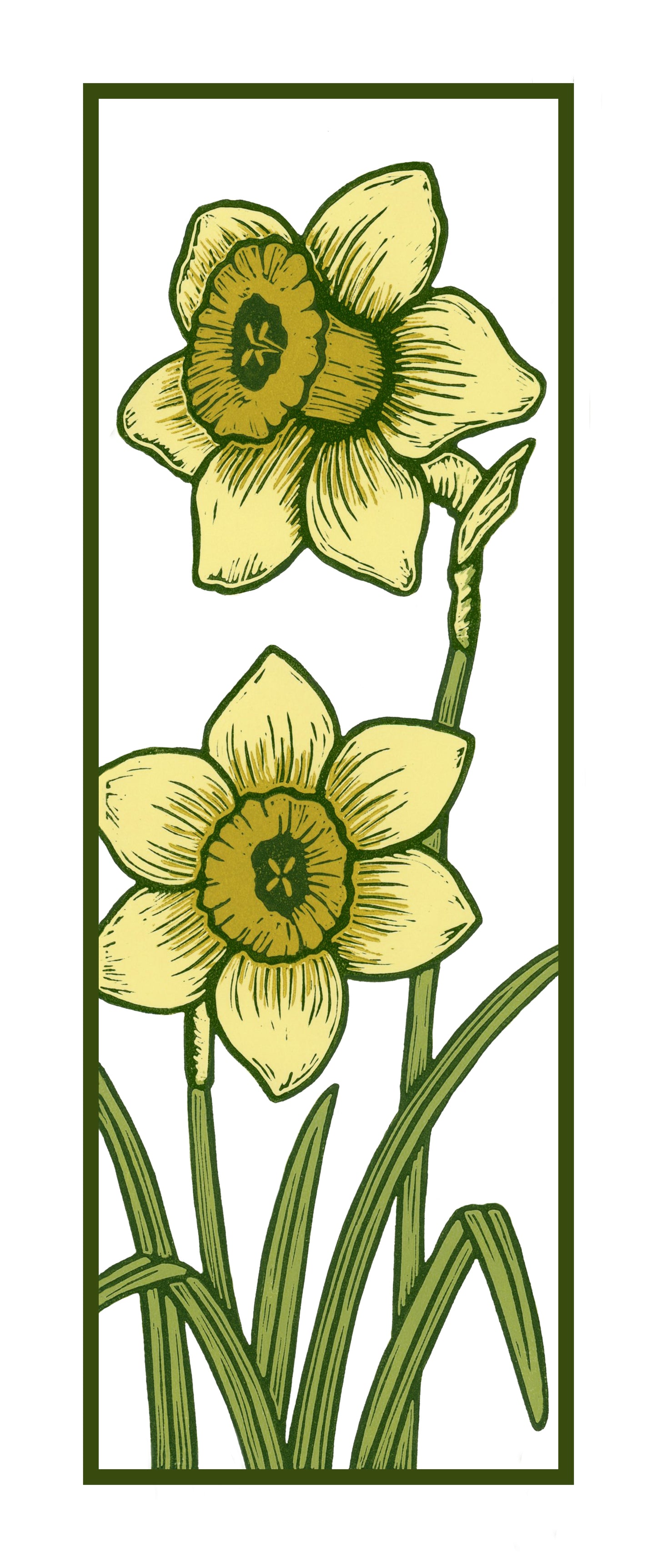Dafodils