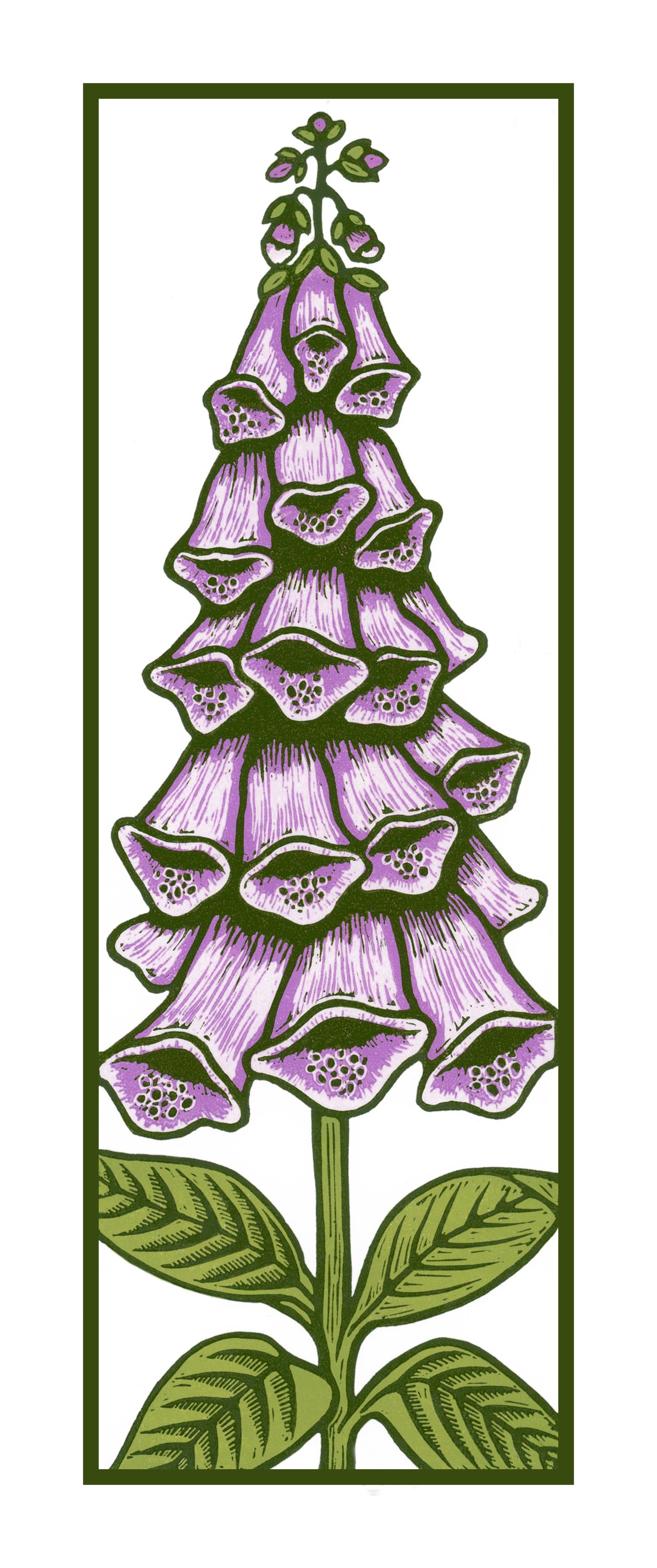 Foxgloves