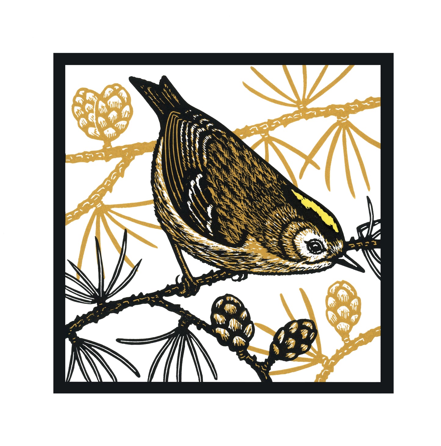 Goldcrest