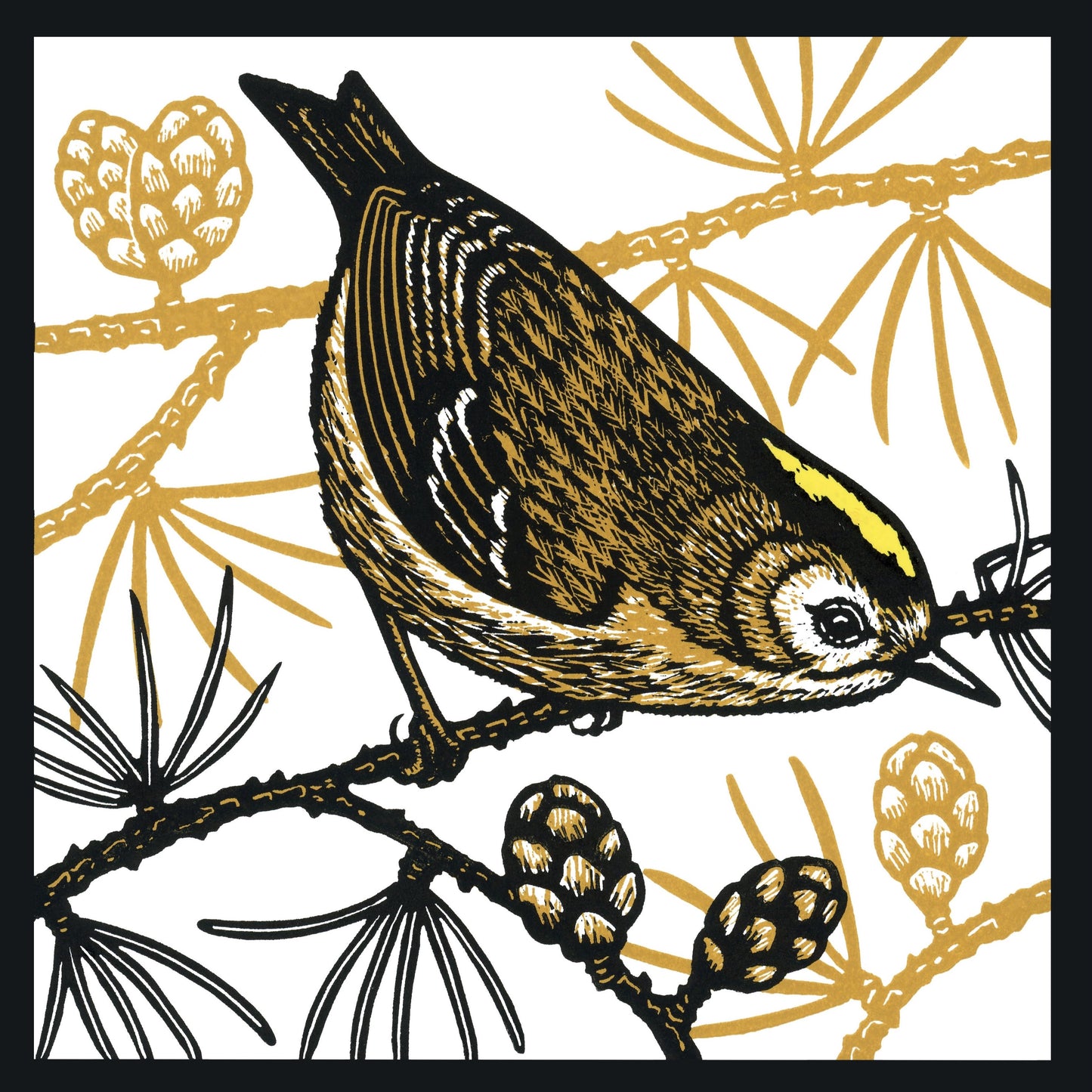 Goldcrest