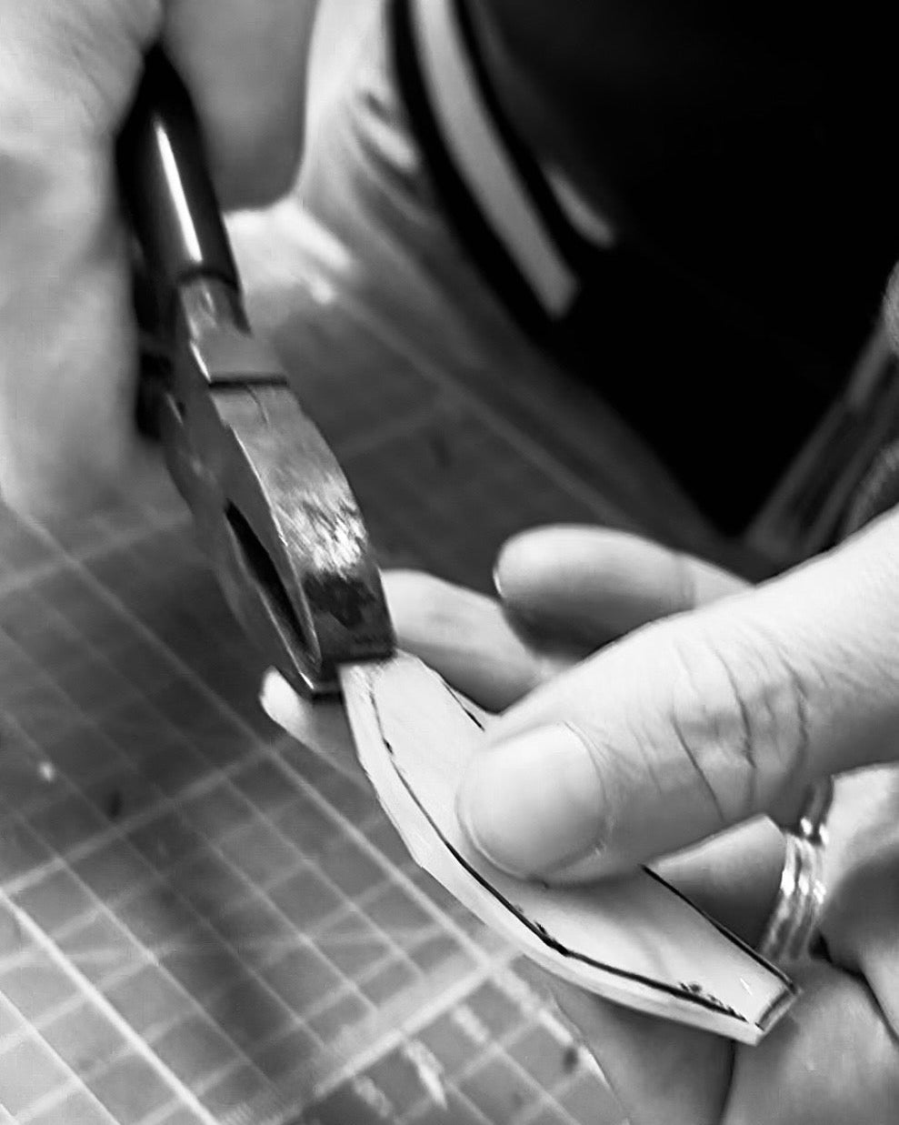 Iris Linocut & Stained Glass Workshop at Lydney Park Estate 12/6/26 & 13/6/26