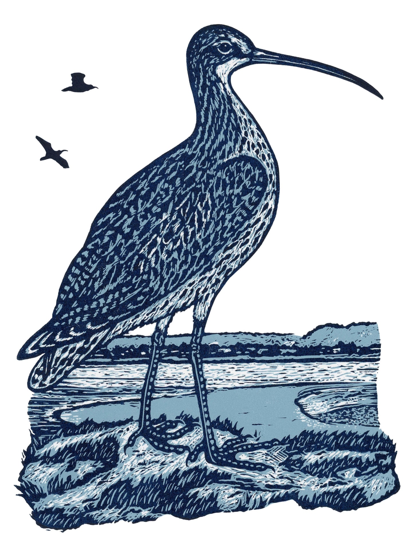 The Curlew