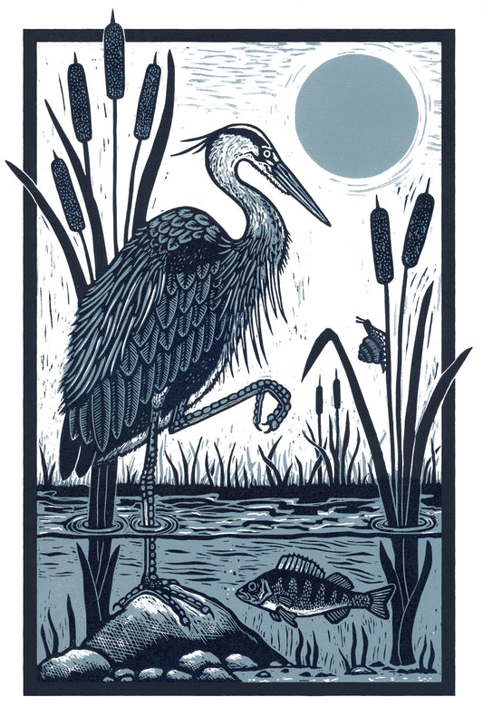 The Heron & The Perch