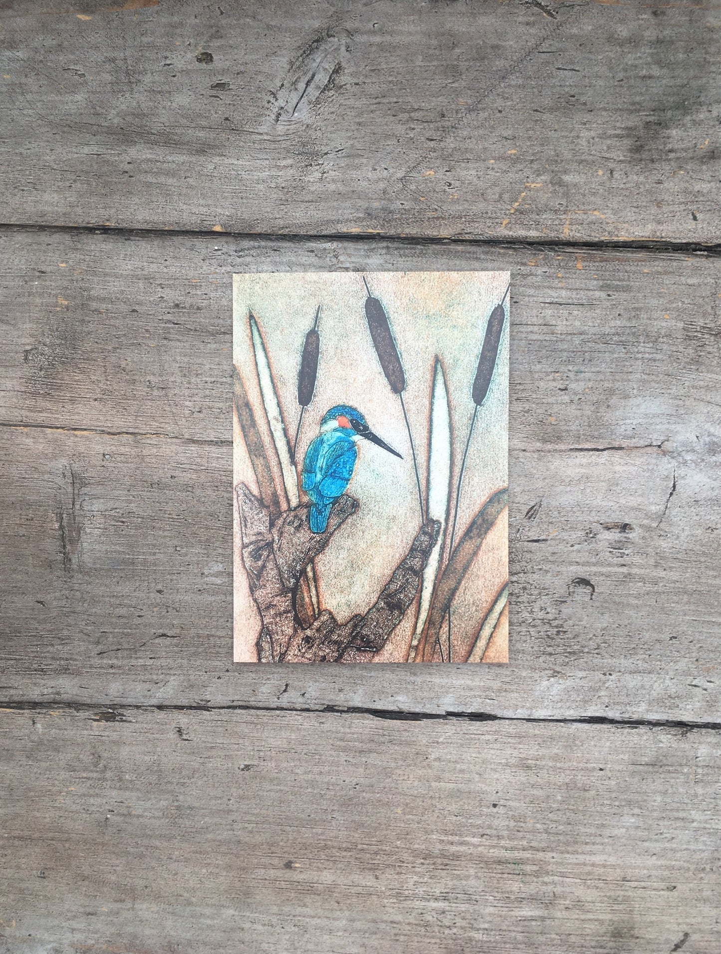 Kingfisher Greetings card/art card from Original Hand Printed Collagraph