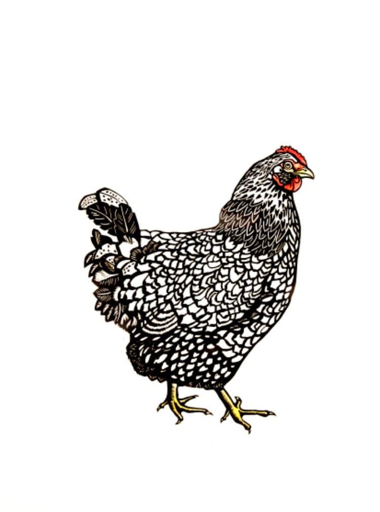 Silver Laced Wyandotte Greetings Card | Art Card | Chicken Card