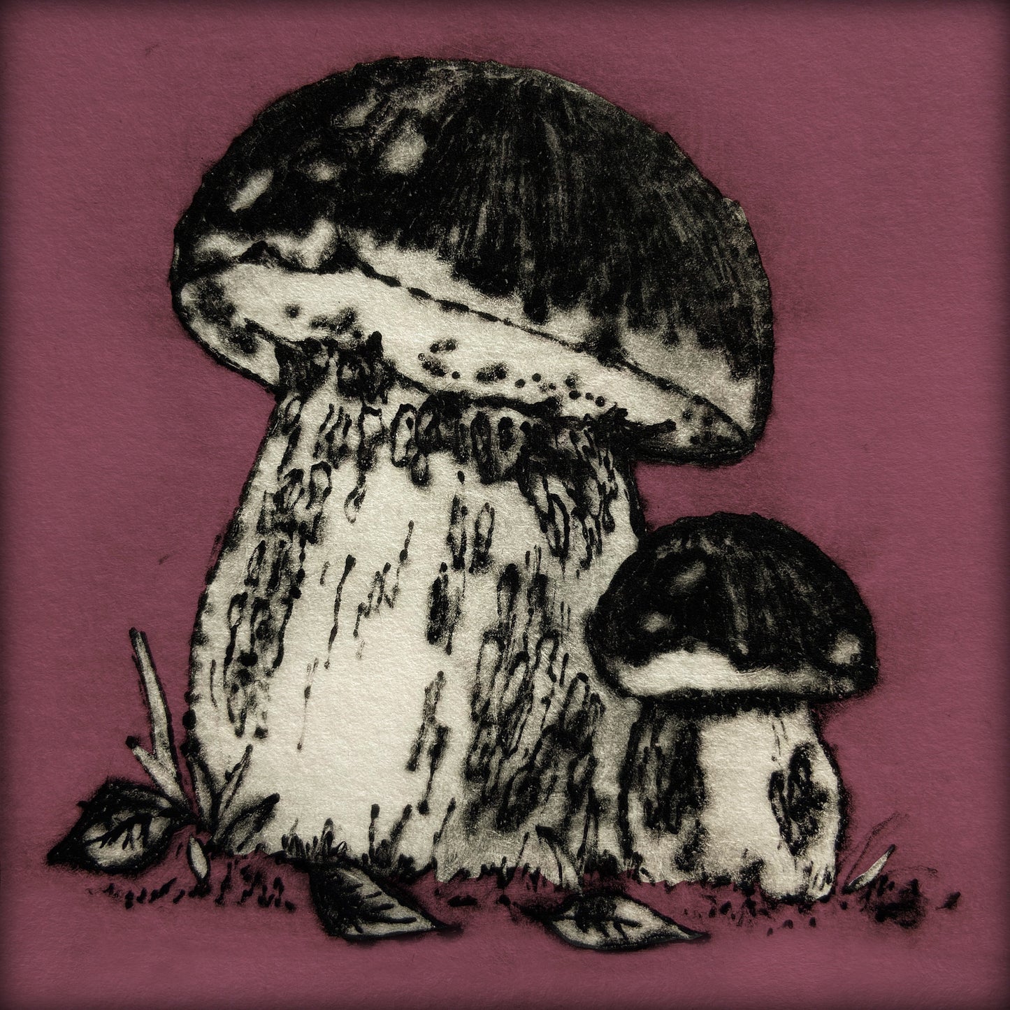 Porcini Mushroom Greetings Card