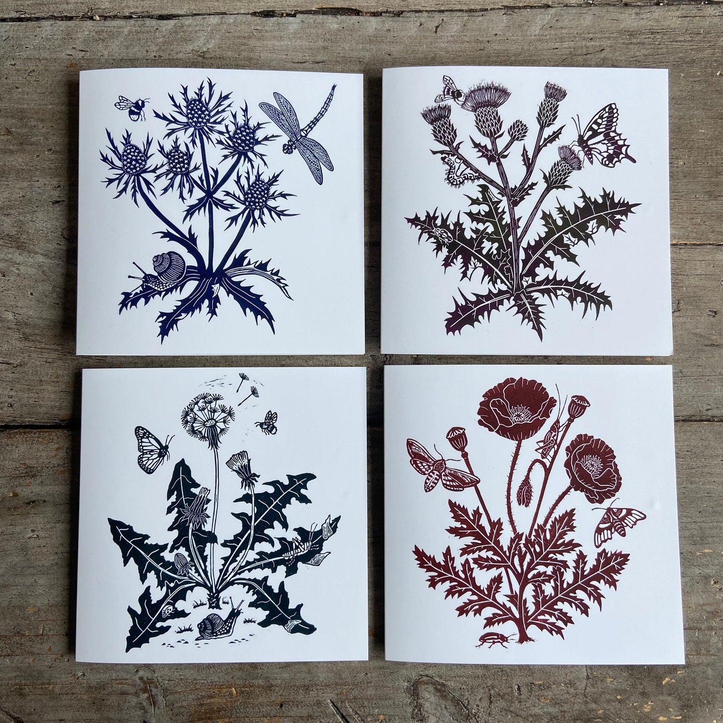 Creeping Thistle Greetings Card