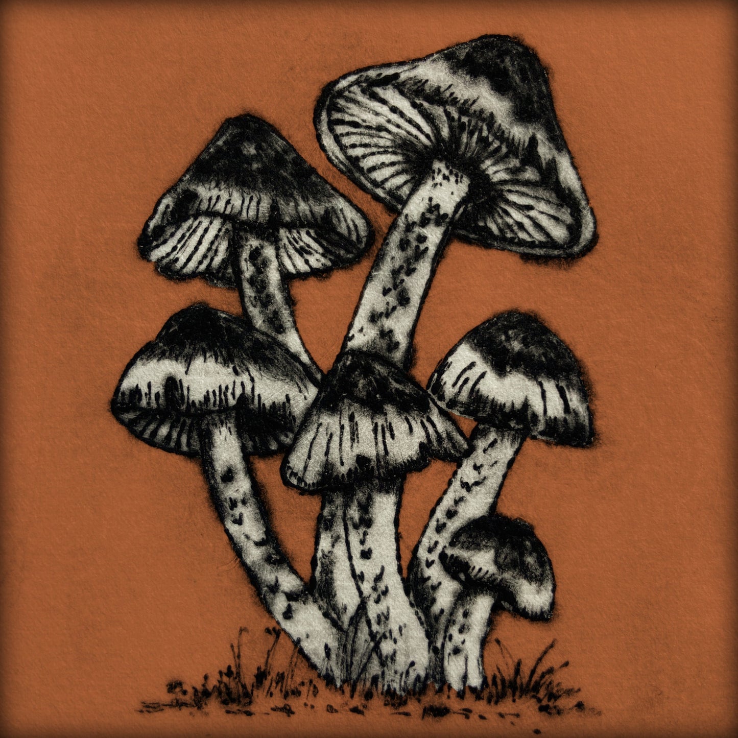 Sulphur Tuft Mushroom Greetings Card